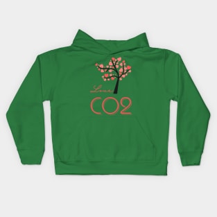 I love co2 Kids Hoodie